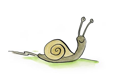 Snail