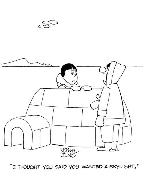 'I thought you said you wanted a skylight.'