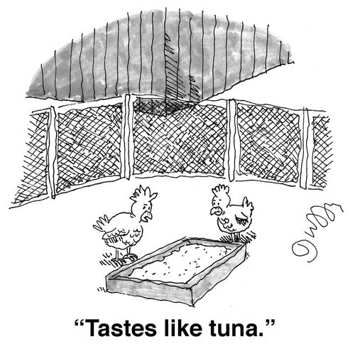 'Tastes like tuna.'