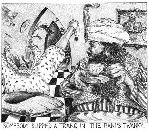 'Somebody slipped a tranq in the rani's twanky.'