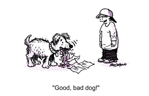 'Good, bad dog!'