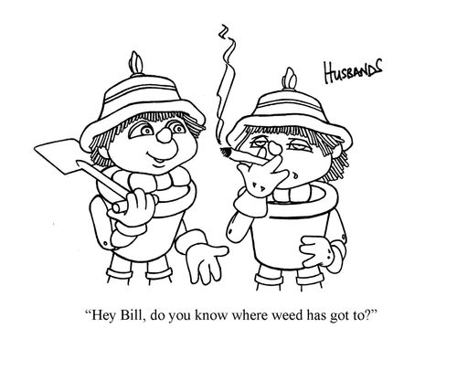 'Hey Bill, do you know where weed has got to?'