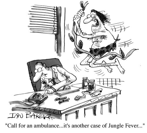 'Call for an ambulance....it's another case of Jungle Fever..'