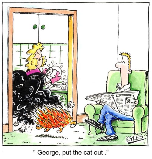 "George, put the cat out"