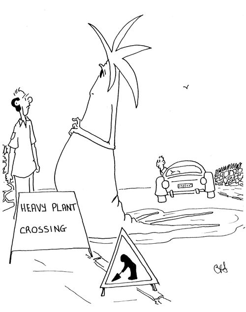 'Heavy plant crossing'