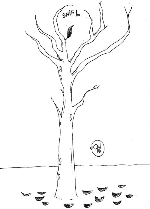 A tree cries its leaves off like tears
