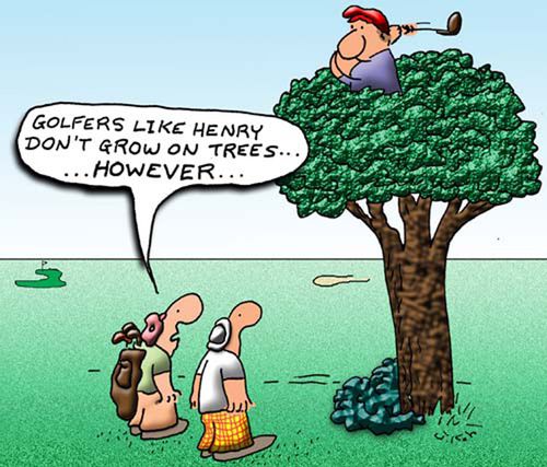"Golfers like Henry don't grow on trees...however..."
