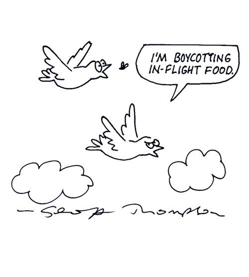 'I'm boycotting in-flight food.'