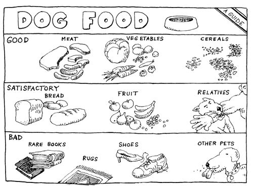 Dog Food - A Guide.