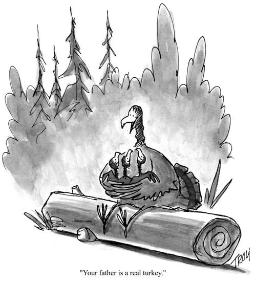 'Your father is a real turkey.'