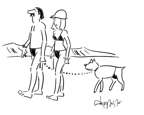 Dog covering up on the beach.