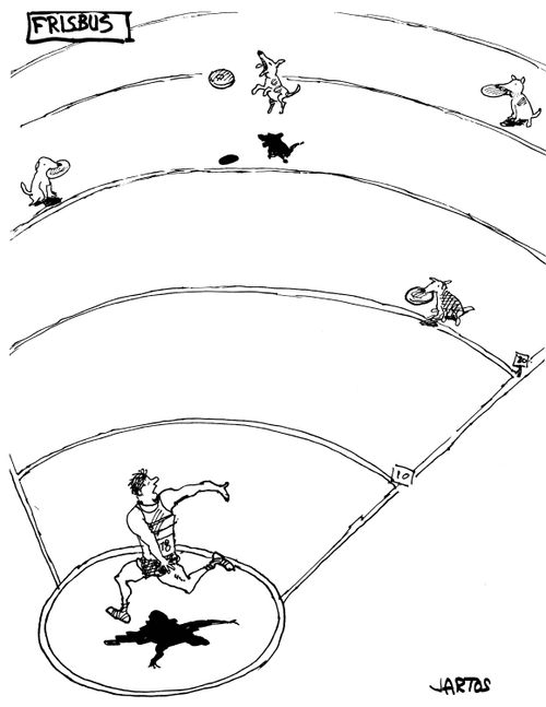 Dog jumping to catch discus.