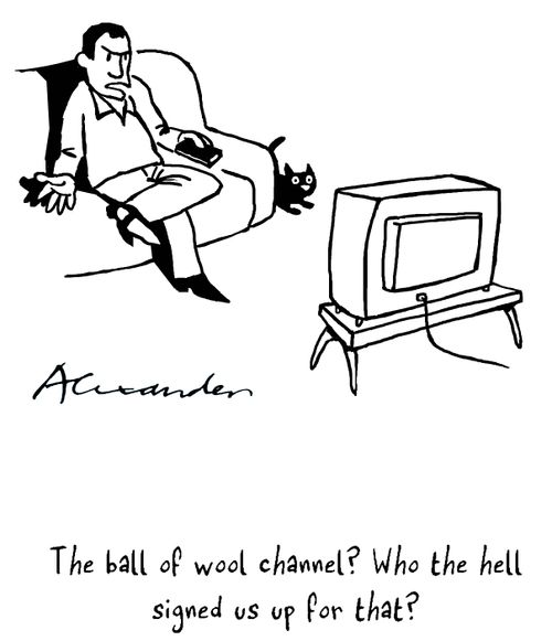 "The ball of wool channel? Who the hell signed us up for that?"