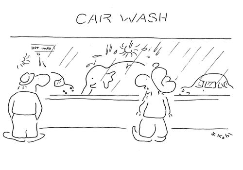 Elephant at Car Wash.