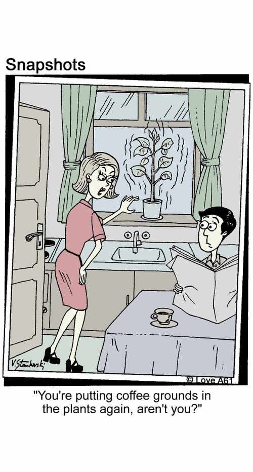 'You're putting coffee grounds in the plants again, aren't you?'