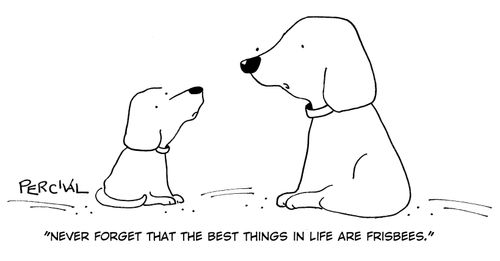 'Never forget that the best things in life are frisbees.'