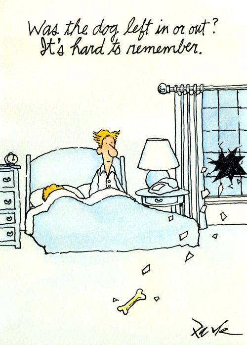 'Was the dog left in or out? It's hard to remember.'