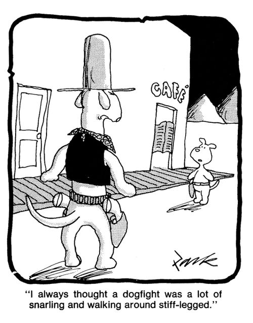 'I always thought a dogfight was a lot of snarling and walking around stiff-legged.'