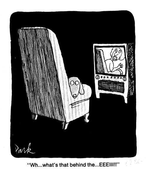 'Wh...what's that behind the eeee!'