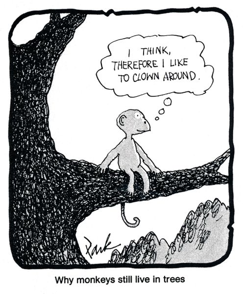 Why monkeys still live in trees.