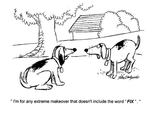 'I'm for any extreme makeover that doesn't include the word 'fix'.'