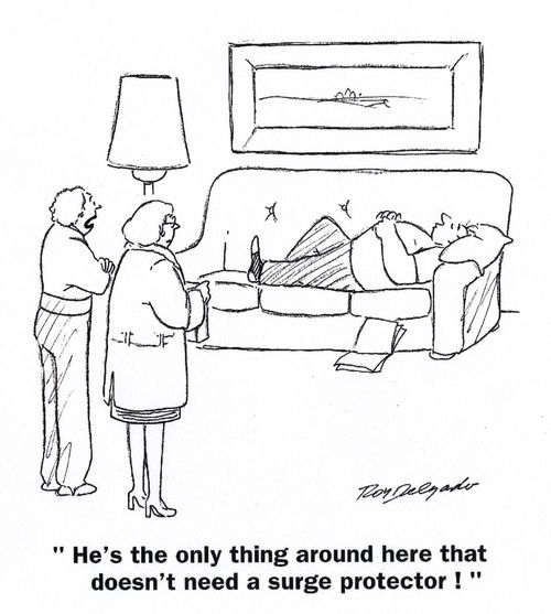 'He's the only thing around here that doesn't need a surge protector!'