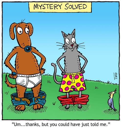 Mystery Solved - Boxers or Briefs, 'Thanks but you could have just told me.'