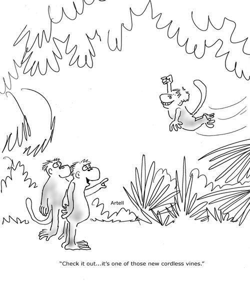 Monkeys watching other monkey swing. 'Check it out...it's one of those new cordless vines.'