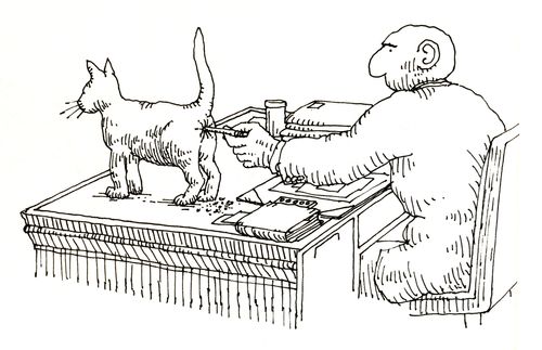 101 uses of a dead cat: pencil sharpener