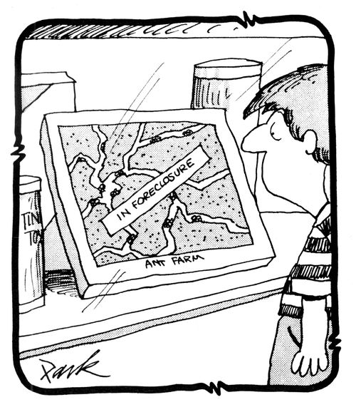 Ant Farm in foreclosure 