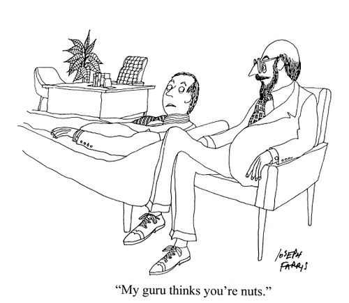 'My guru thinks you're nuts.'