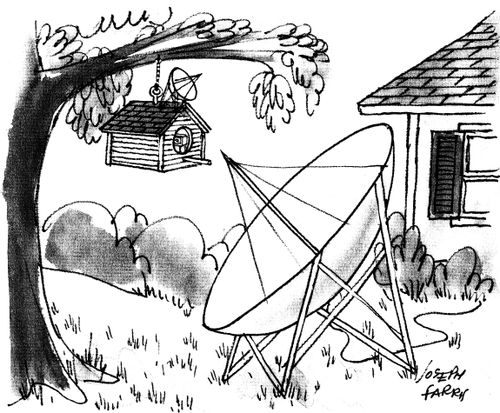 Bird box with satellite dish.