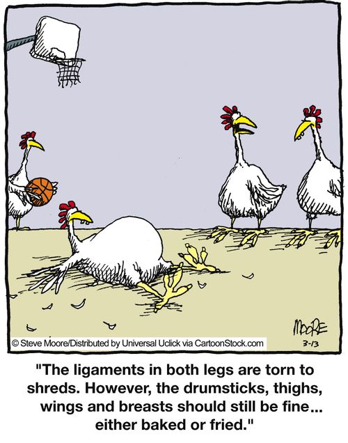 'The ligaments in both legs are torn to shreds. However, the drumsticks, thighs, wings and breasts should still be fine... either baked or fried.'