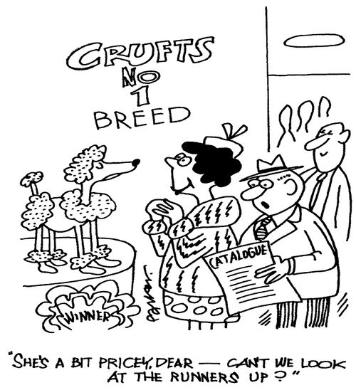 'She's a bit pricey,dear-can't we look at the runners up?'