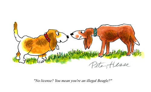 'No license? You mean you're an illegal Beagle?'