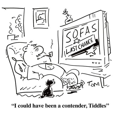 SOFA SALE: 'I could have been a contender, Tiddles.'