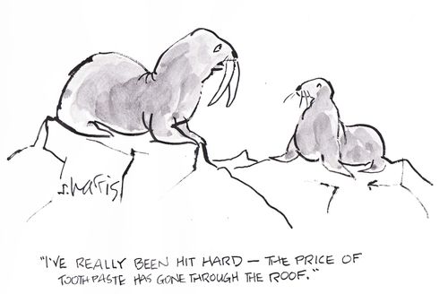 'I've rally been hit hard - the price of toothpaste has gone through the roof.'
