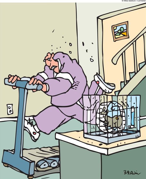 Exercise rat race