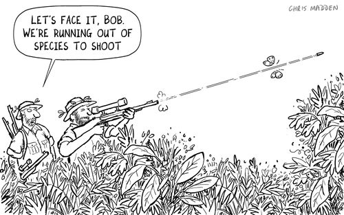 Hunters who have run out of species to hunt, shooting a butterfly