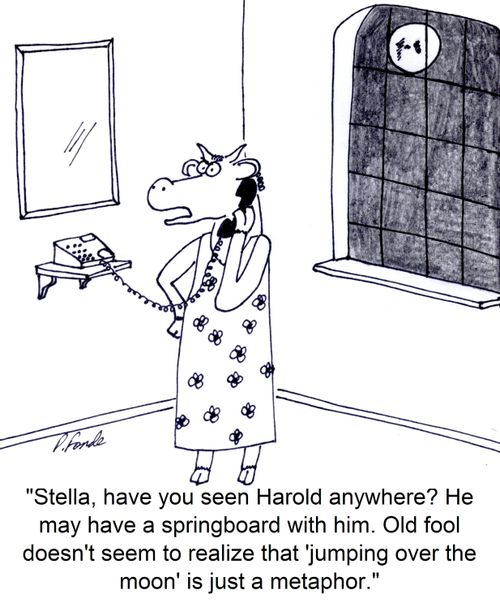 'Stella, have you seen Harold anywhere? He may have a springboard with him. Old fool doesn't seem to realize that 'jumping over the moon' is just a metaphor.'