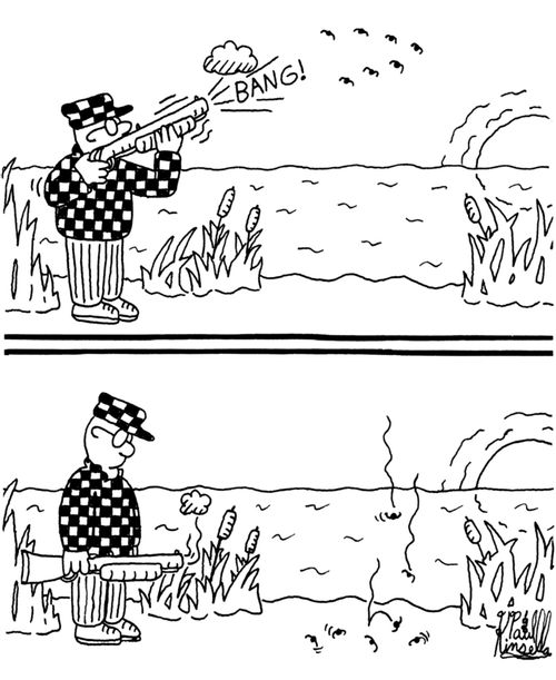 BANG! (Duck hunter hunting very small ducks.