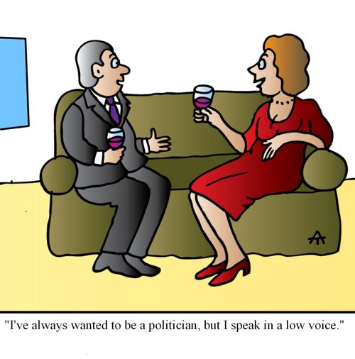 'I've always wanted to be a politician, but I speak in a low voice.'