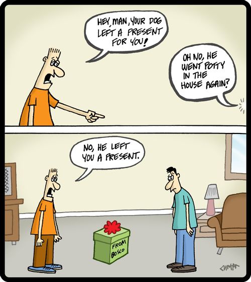 'Hey, man, your dog left a present for you.'
