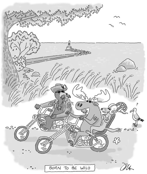 Born to be Wild