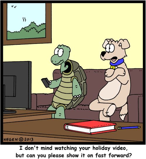 'I don't mind watching your holiday video, but can you please show it on fast forward?'