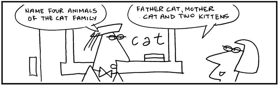 'Name four animals of the cat family.'