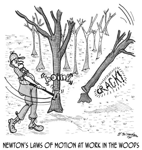 Newton's Laws of Motion at work in the woods.