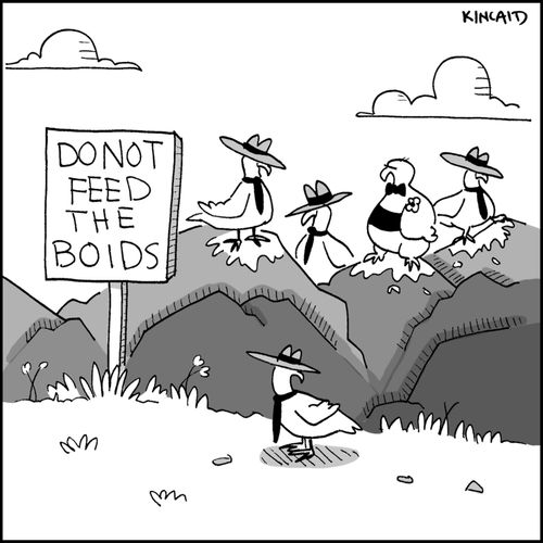 Signs reads 'Do Not Feed the Boids.'