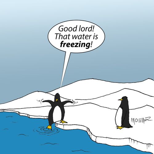 'Good lord! That water is freezing!'