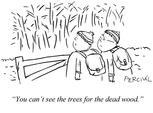 'You can see the trees for the dead wood.'